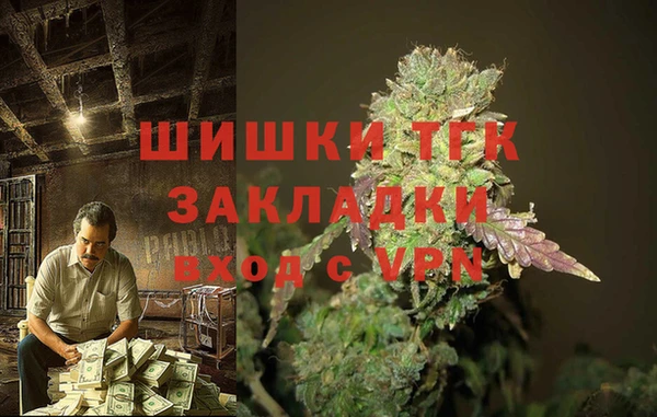 2c-b Богородицк