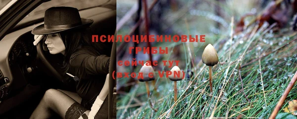 дмт Верея