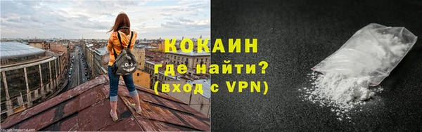 индика Сясьстрой